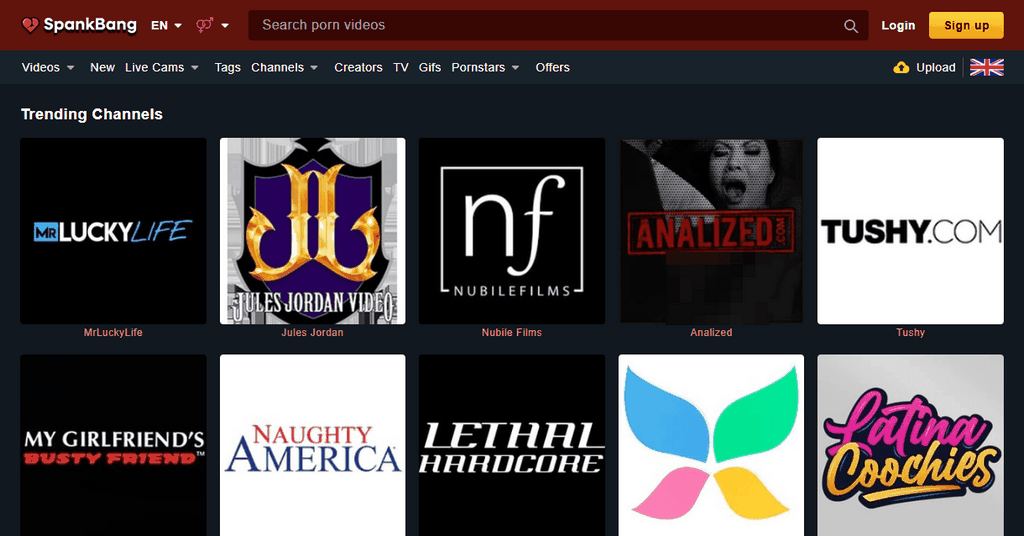Leading Uncensored Eastern Pornography Sites
